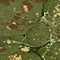 Military camouflage liquid ebru background.