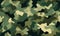 Military camouflage pattern royalty, bold outlines, flat colors, tile, seamless, military army green hunting. Generative AI