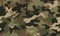Military camouflage pattern royalty, bold outlines, flat colors, tile, seamless, military army green hunting. Generative AI