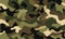 Military camouflage pattern royalty, bold outlines, flat colors, tile, seamless, military army green hunting. Generative AI
