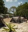 Military camouflage tent. Phi Phi Island - Thailand