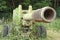 An military cannon stands by the forest