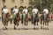 Military of the Carabineros band attend changing guard ceremony in front of the La Moneda presidential palace, Santiago, Chile.