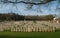 Military Cemetary in France (WW1)