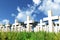 Military Cemetery 3D render 02