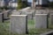 Military cemetery empty gravestone