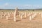 Military cemetery at Springfontein