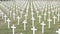 Military cemetery with white crosses. Headstones in War memorial. Numerous soldier`s graves marked with Christian crosses. The fa