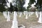 Military cemetery white stones.