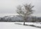 Military cemetery in winter