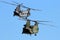 Military CH-47 Chinook helicopters