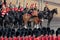 Military drum horse taking part in the Trooping the Colour military ceremony at Horse Guards, London UK