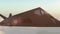 Military F-117 Nighthawk stealth aircraft flying in the sky. Wonderfull sunset. Realistic 3d CG animation