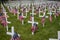 Military Grave Marker Crosses decorated with American Flags