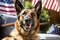 Military guard german shepherd, working dog on the street on a sunny day, with American flags in the background. Remembrance Day