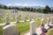 Military Headstones Decorated with American Flags on Memorial Day