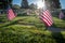 Military Headstones Decorated with Flags for Memorial Day