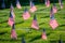 Military Headstones and Gravestones Decorated With Flags for Memorial Day