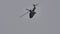 Military helicopter from below in hovering performing a incredible vertical spin