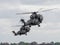 Military helicopter pair