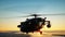 Military helicopter UH-60 Black hawk, wonderfull sunset. Realistic animation GI.