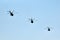 Military helicopters flying in blue sky performing demonstration flight, aerobatic team, air show