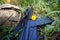 Military helmet, rifle and a flower in the grass close up