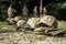 Military helmets and bulletproof vests are lined up on the grass