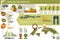 Military infographic or weapons with world map