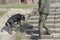 A military officer with a pet patrolling a city street