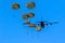 Military parachutist paratroopers parachute jumping out of a air force planes on a clear blue sky day