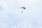 Military parachutist in the sky