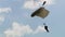 A military paratrooper parachutes down against the background of blue sky and clouds. Concept: air landing, war in Ukraine, specia