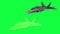 Military plane F-22 , rotate animation , wireframe render. green screen footage