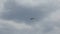 Military plane flies in the sky