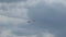 Military plane flies in the sky