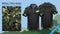 Military polo t-shirt design, with camouflage print clothes for jungle, hiking trekking or hunter, Vector eps10 file