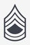 Military Ranks and Insignia. Stripes and Chevrons of Army