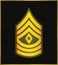 Military Ranks and Insignia. Stripes and Chevrons of Army