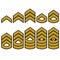 Military ranks set, Army Patches. Vector