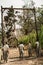 Military soldier climbing rope during obstacle course