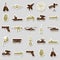 Military theme simple stickers icons set