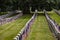 Military tombstones with US flags on cemetery hillside