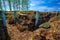 Military trenches near the city of Volokolamsk at Dubosekovo jun