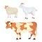 Milk animals isolated set