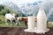 Milk bottle and glass of milk at wooden table top on background of mountain pasture and cows herd
