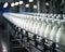 Milk bottles are moving along a conveyor belt.
