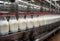 Milk bottles moving along a conveyor belt. Generative AI