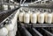 Milk bottles moving along a conveyor belt. Generative AI