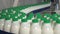 Milk in bottles moving on conveyor. Milk with green caps on a conveyor belt at a dairy factory.